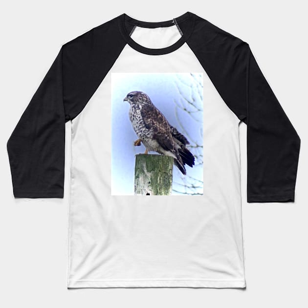 WINTER PLUMAGE Baseball T-Shirt by dumbodancer